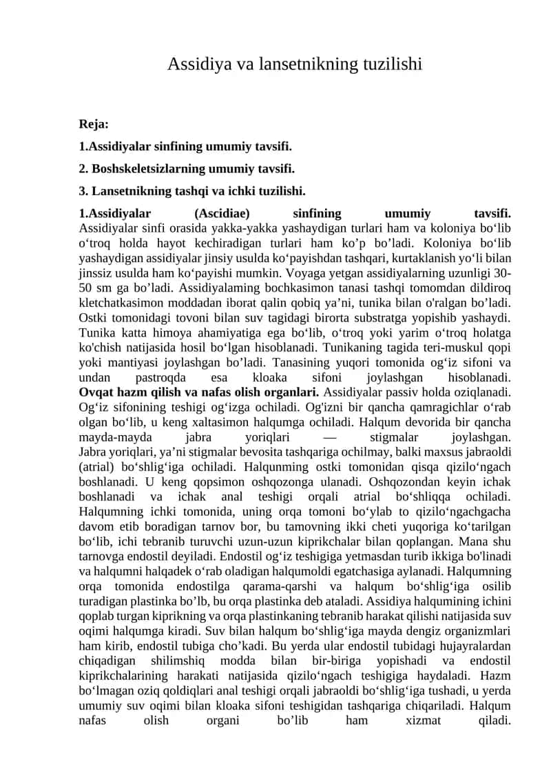 Assidiya va lansetnikning tuzilishi 1