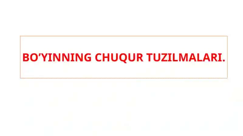 BO’YINNING CHUQUR TUZILMALARI