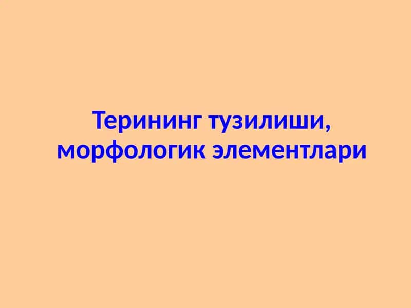 Терининг паразитар касалликлари 1