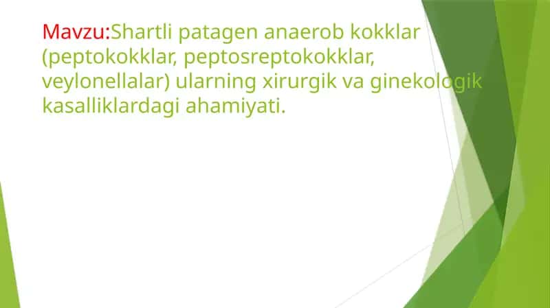 Shartlipatagen anaerob kokklar 1