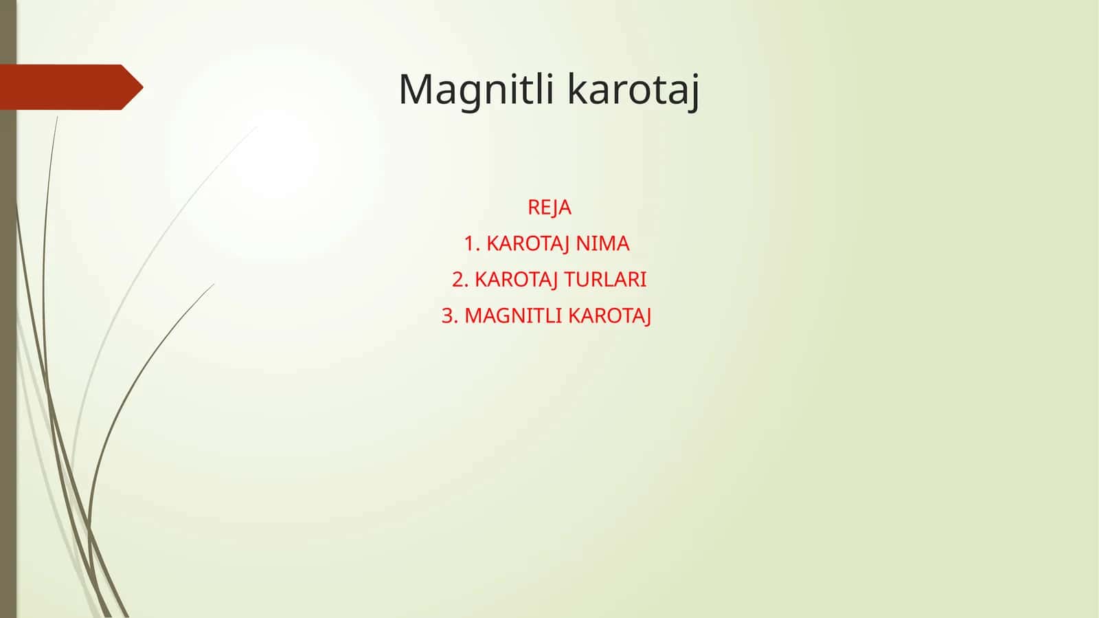 Magnitli karotaj 1
