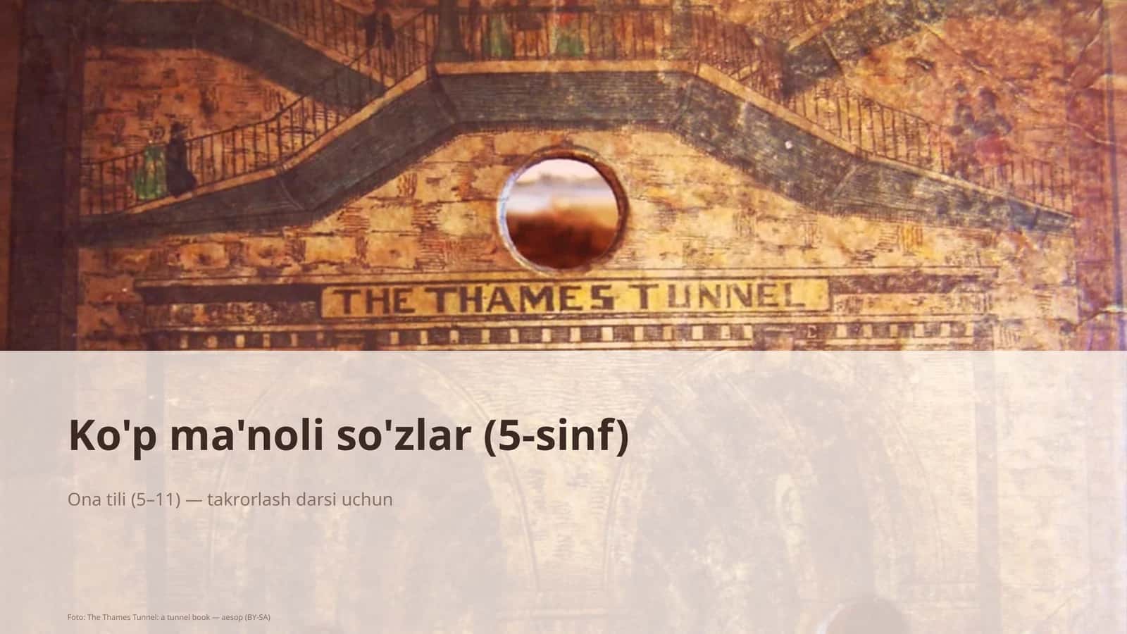Ko'p ma'noli so'zlar (5-sinf) 1