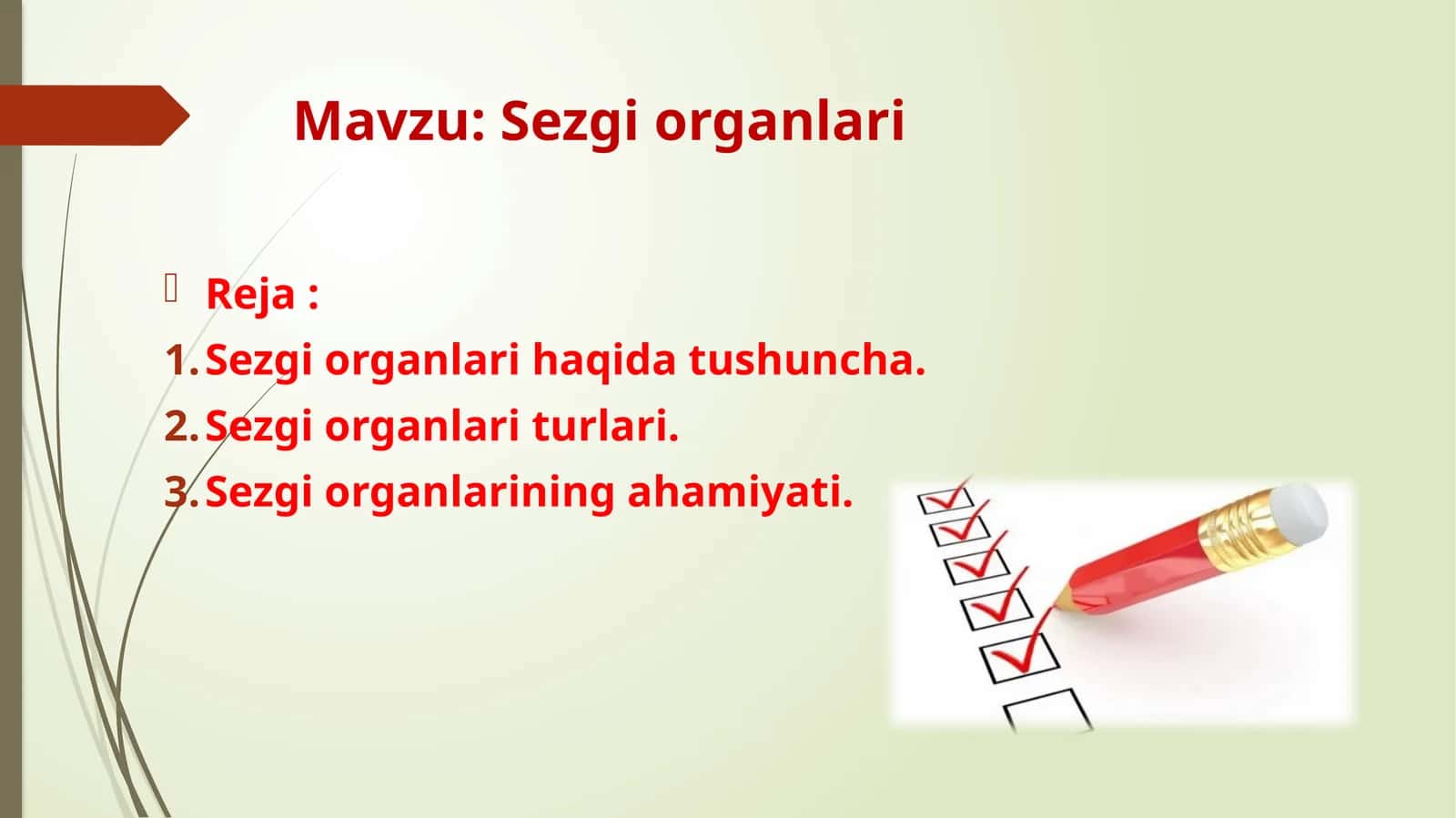 Sezgi organlari 1