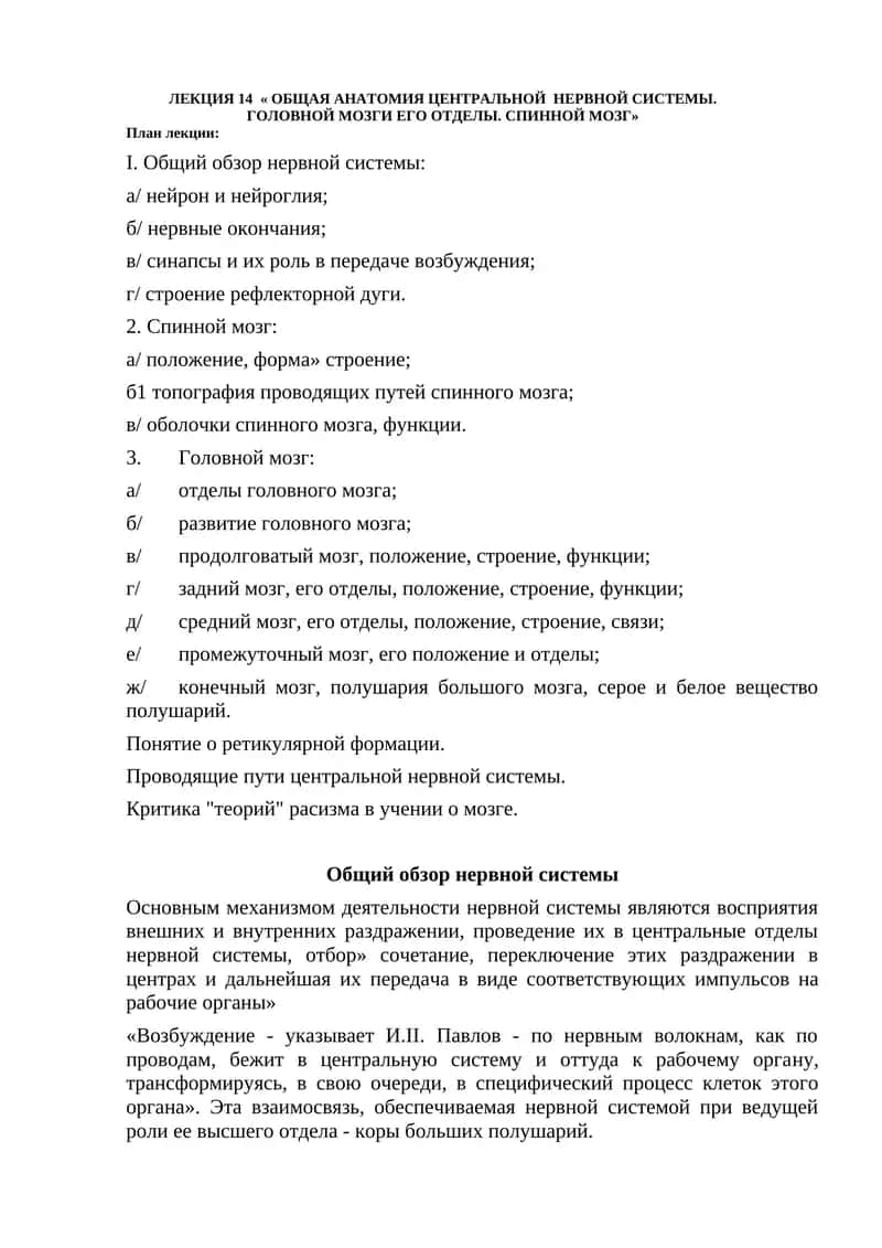 Центральнaя нервная система 1