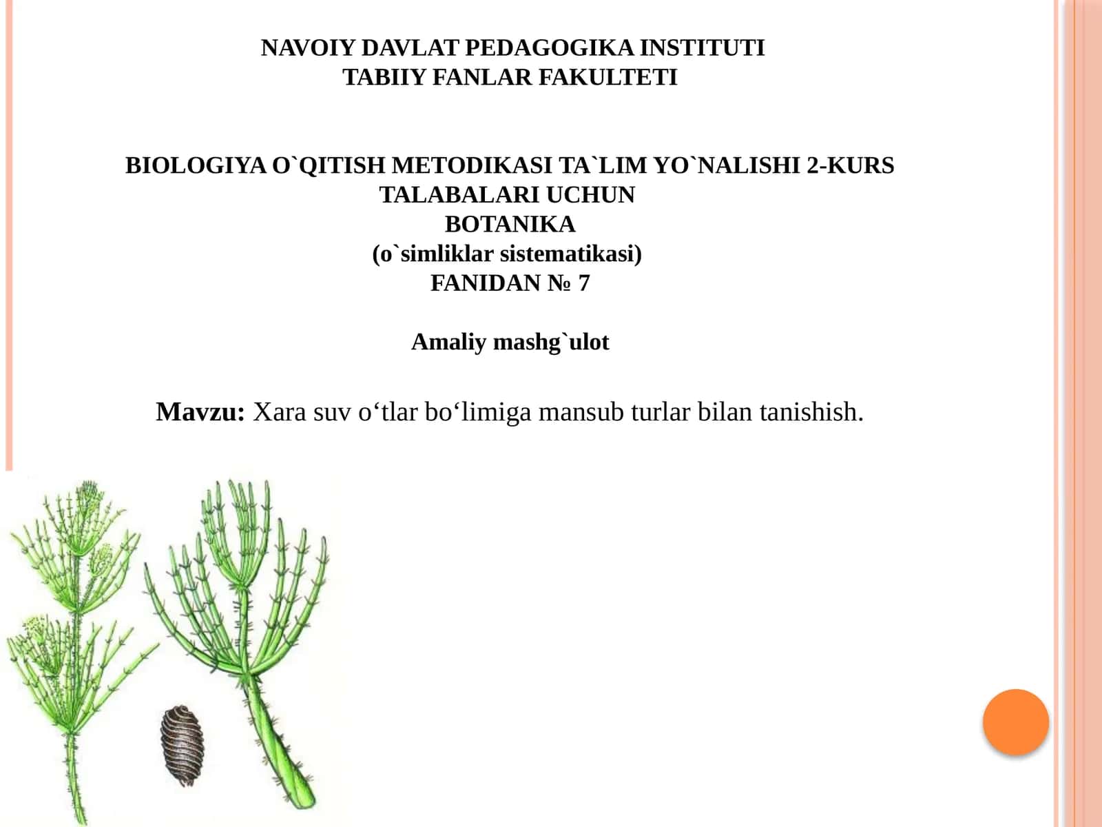 TABIIY FANLAR FAKULTETI 1