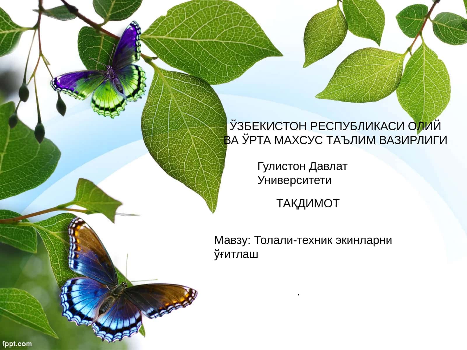 Ғўза - қимматбахо техникавий экин 1