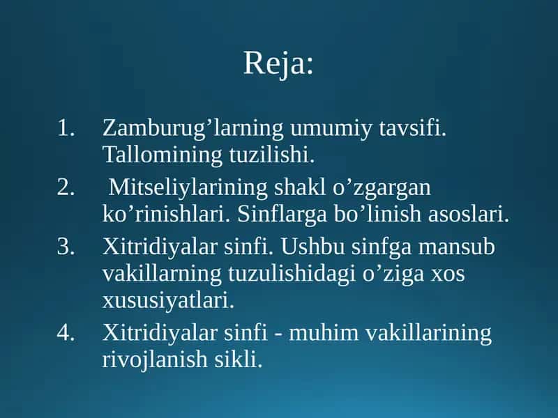 Zamburug’larning umumiy tavsifi 1