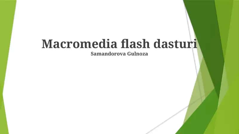 Macromedia flash dasturi 1