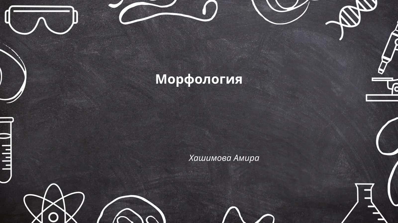 Морфология 1