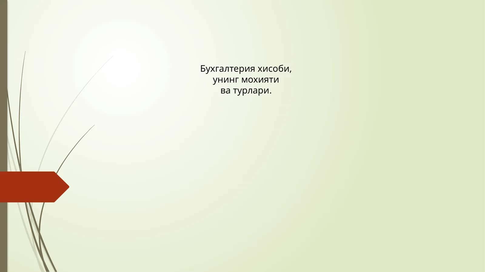 Бухгалтерия хисоби, унинг мохияти ва турлари 1