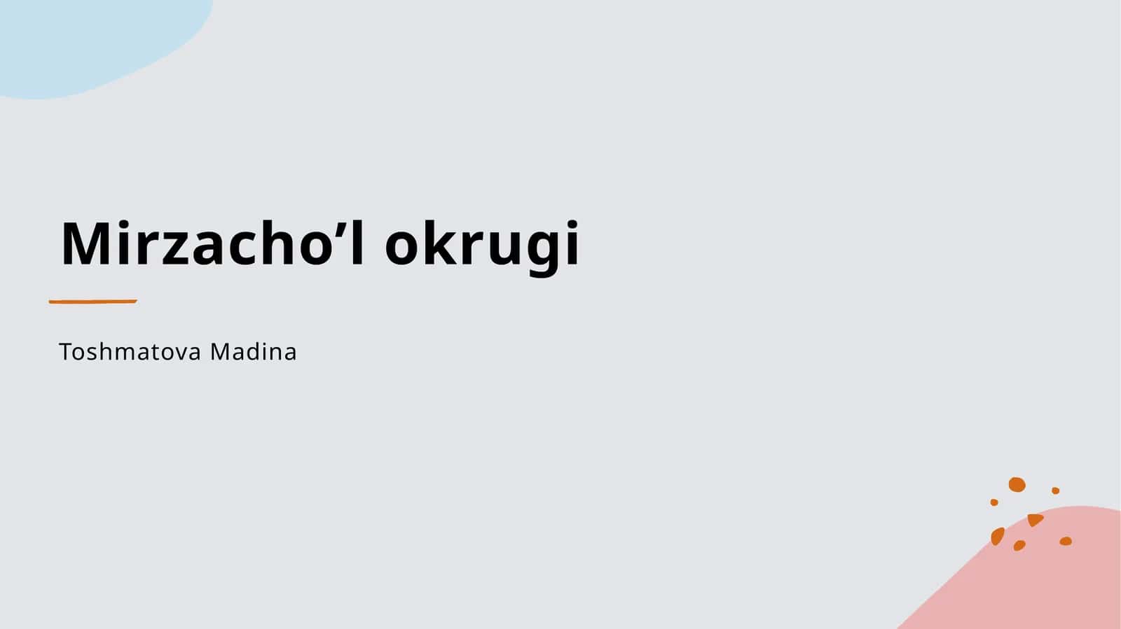 Mirzacho’l okrugi 1