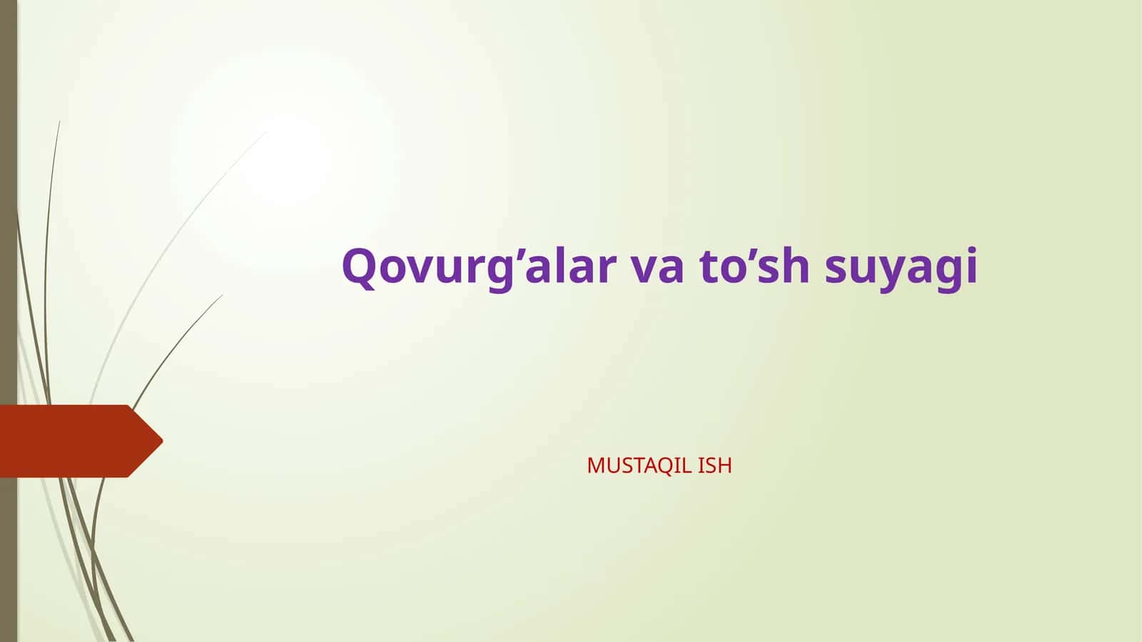 Qovurg’alar va to’sh suyagi 1