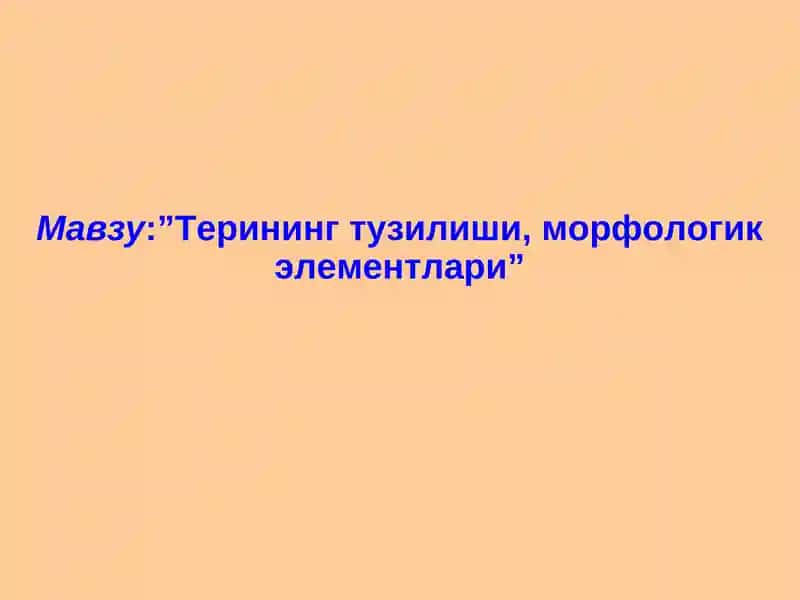 Терининг паразитар касалликлари