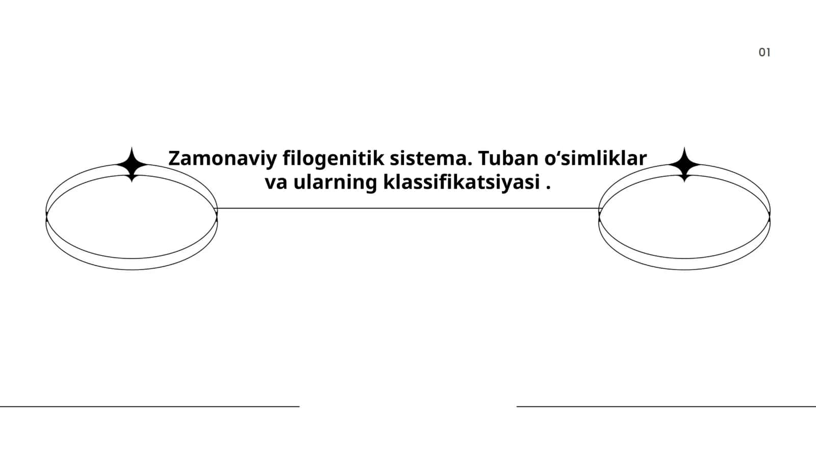Zamonaviy filogenetik sistema 1