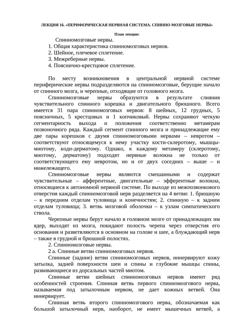 ПЕРИФЕРИЧЕСКАЯ НЕРВНАЯ СИСТЕМА. СПИННО МОЗГОВЫЕ НЕРВЫ 1