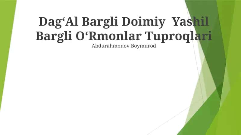 DagʻAl Bargli Doimiy Yashil Bargli OʻRmonlar Tuproqlari 1