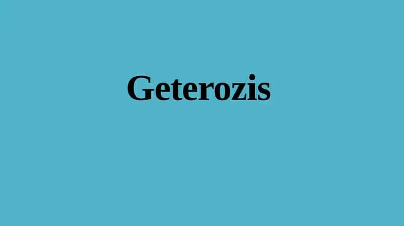Geterozis 1