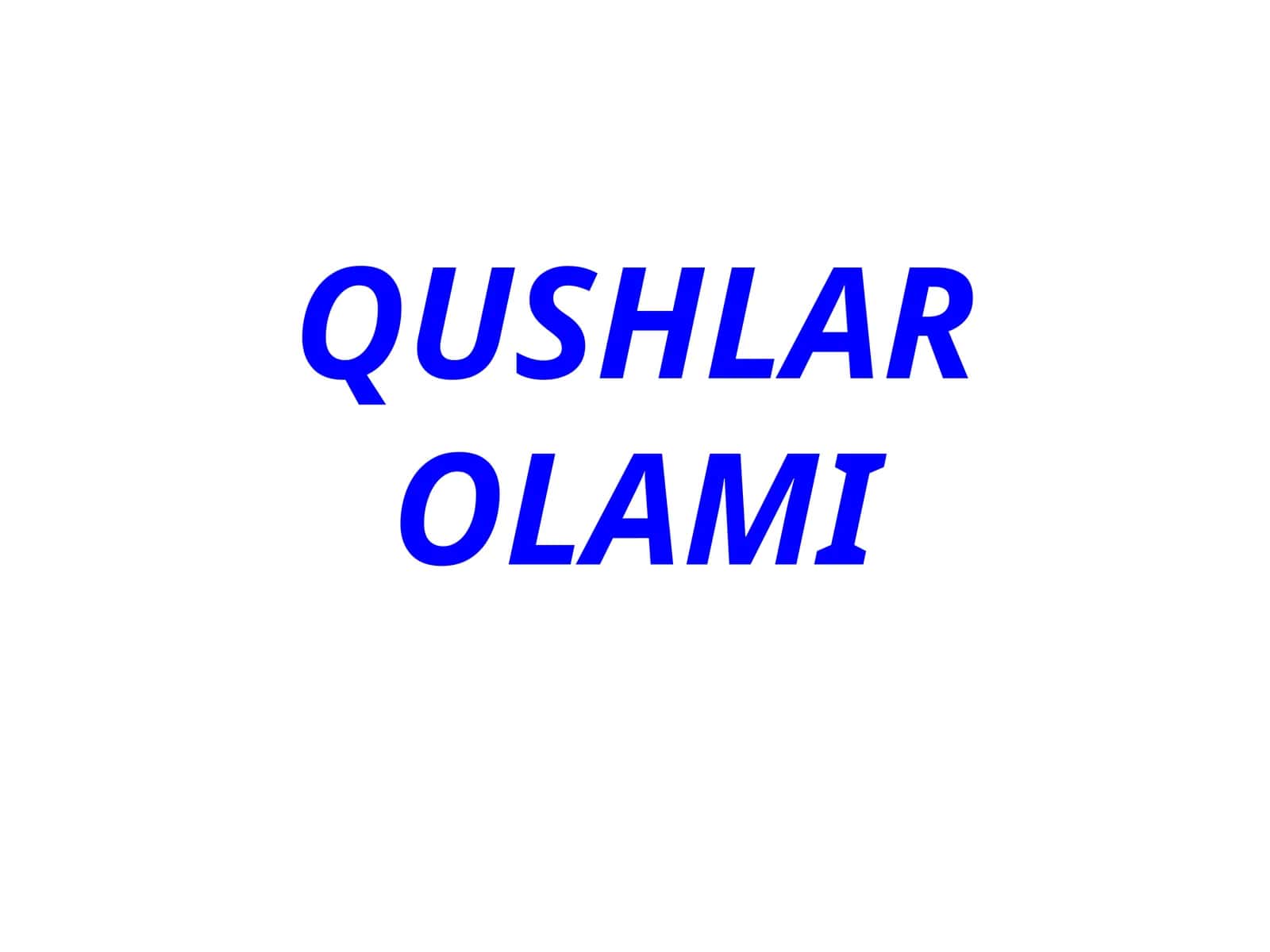 QUSHLAR OLAMI 1