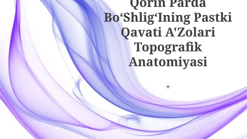 Qorin Parda BoʻShligʻIning Pastki Qavati A'Zolari Topografik Anatomiyasi 1