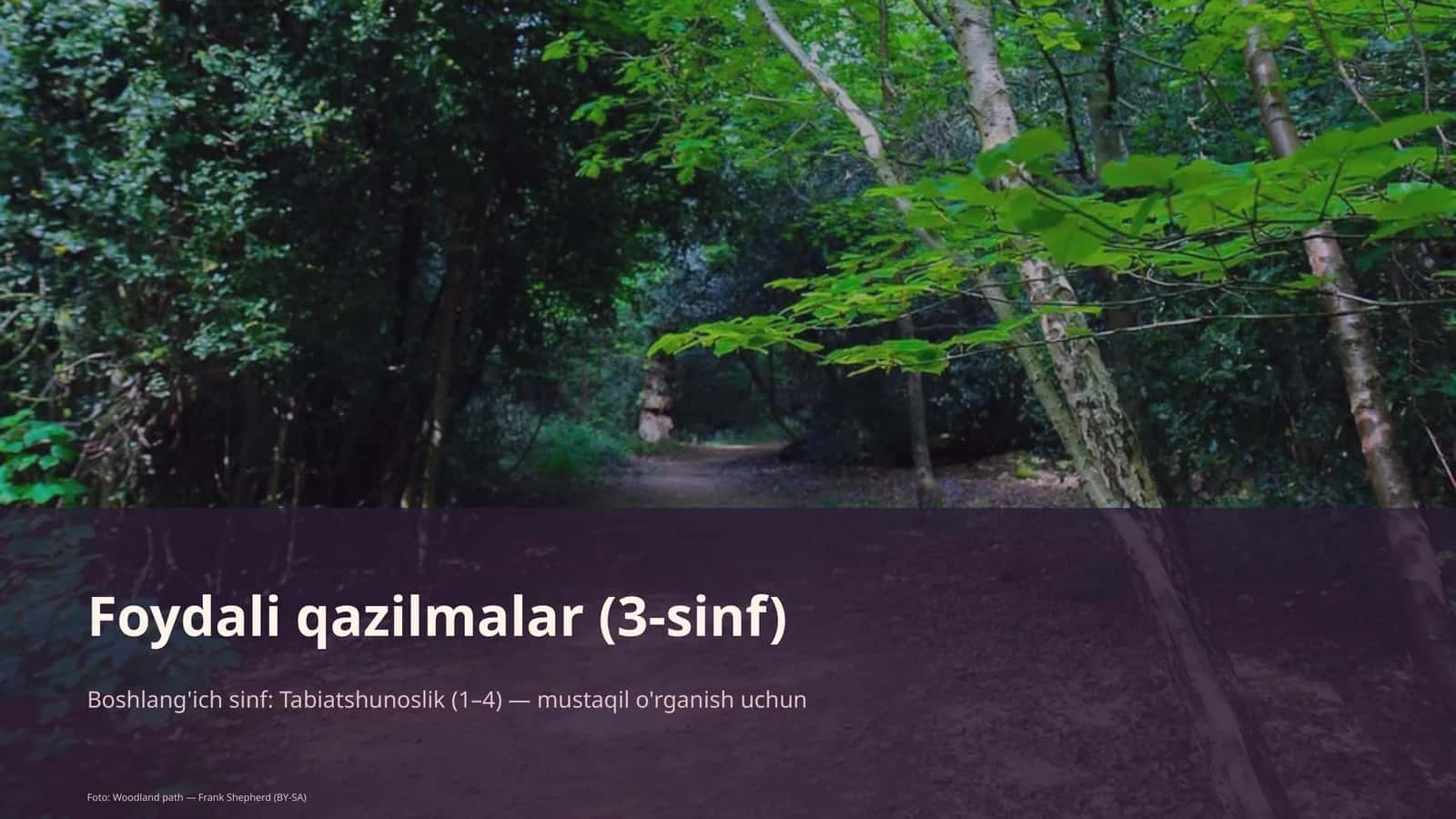 Foydali qazilmalar (3-sinf) 1