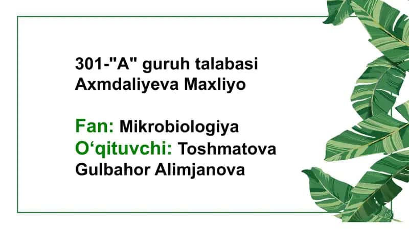 Botulizm qoʻzgʻatuvchisi 1