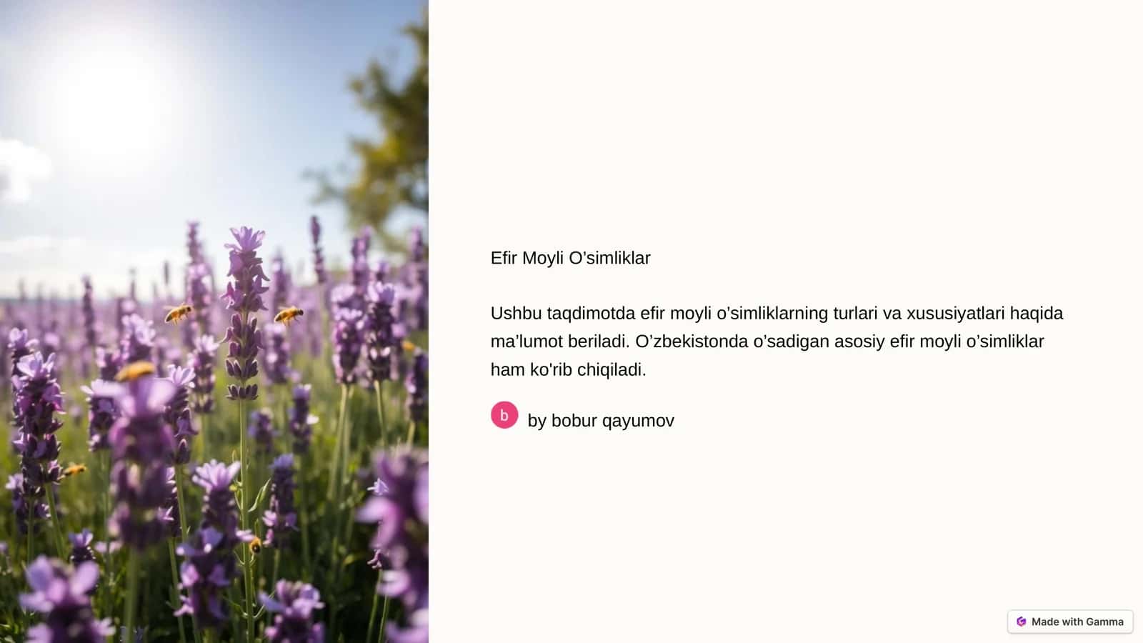 Efir Moyli O’simliklar 1