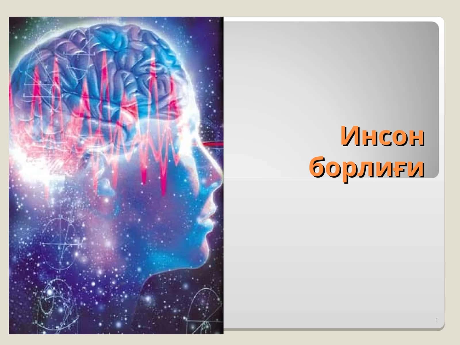 ОНГНИНГ БОРЛИҒИ 1