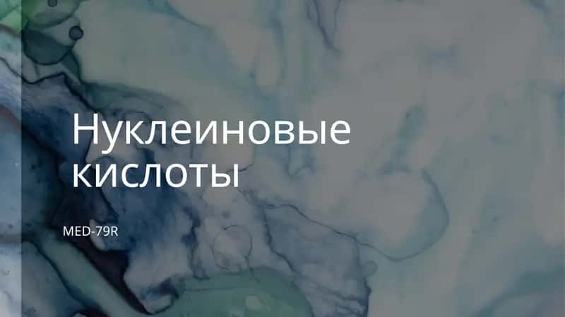 Профессиональная работа .Нуклеиновая кислота 1