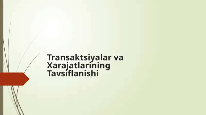 Transaktsiyalar va Xarajatlarining Tavsiflanishi 1