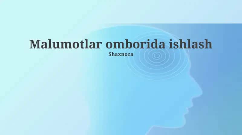 Ma'lumotlar omborida ishlash 1