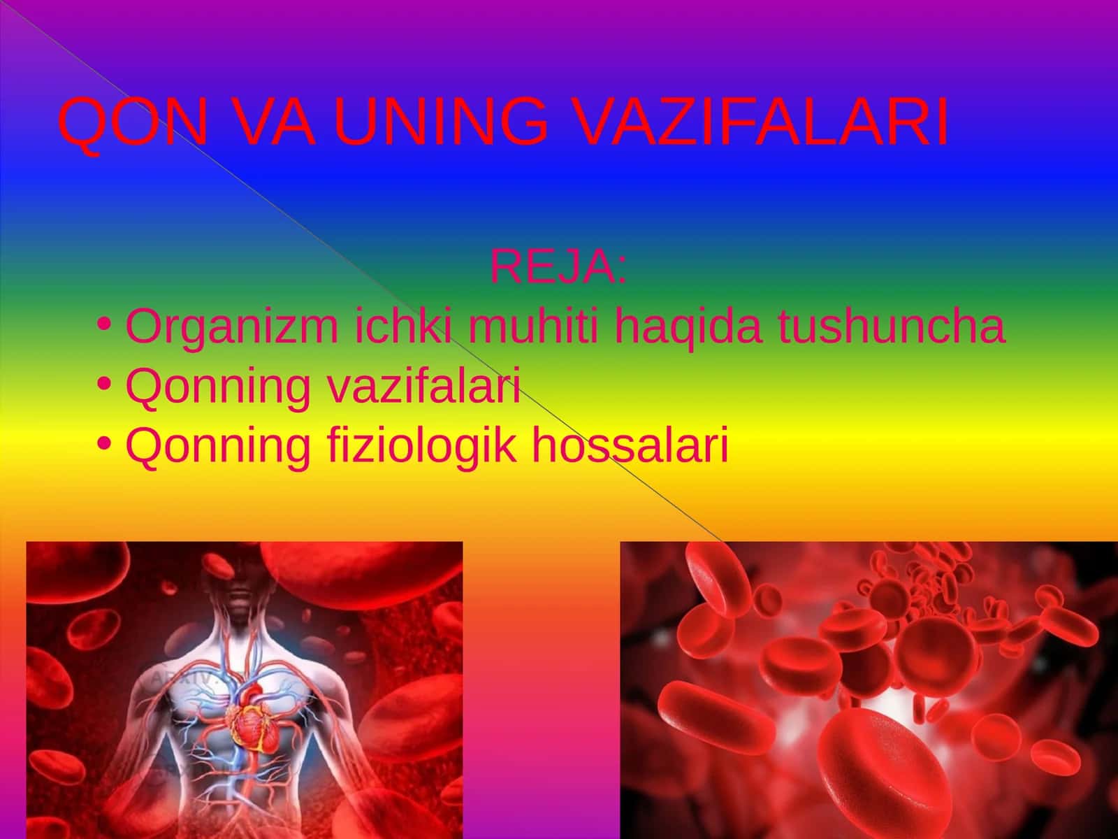 Qon va uning vazifalari 1