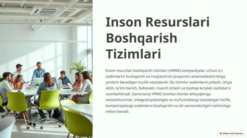 Inson Resurslari Boshqarish Tizimlari 1