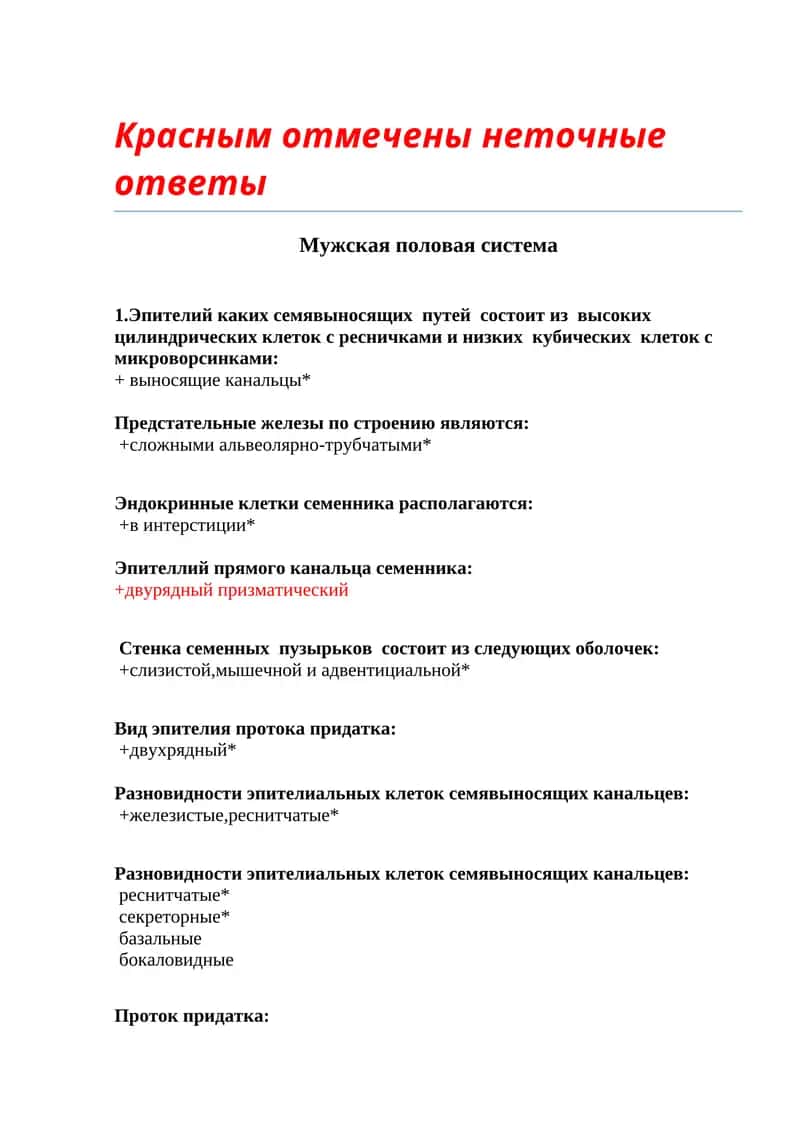 Мужская половая система 1