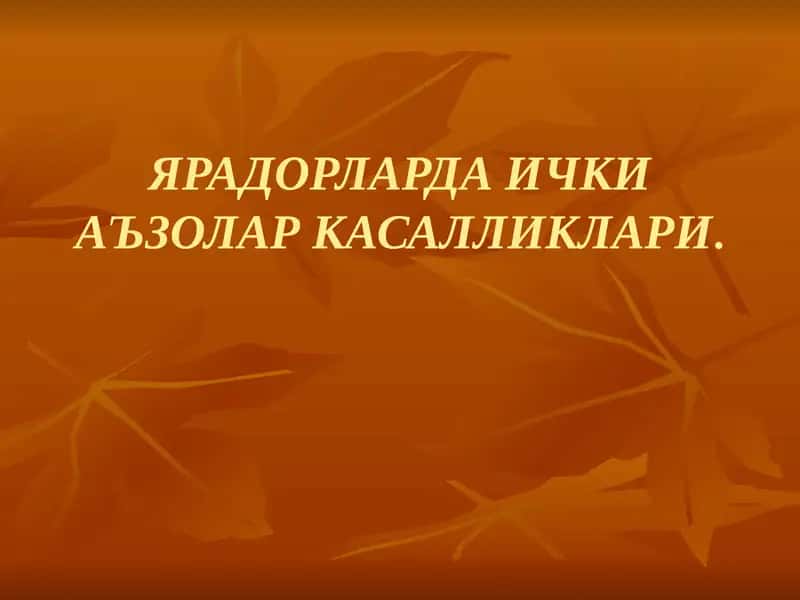 ЯРАДОРЛАРДА ИЧКИ АЪЗОЛАР КАСАЛЛИКЛАРИ 1