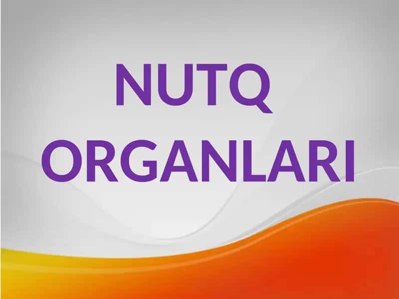 NUTQ ORGANLARI 1