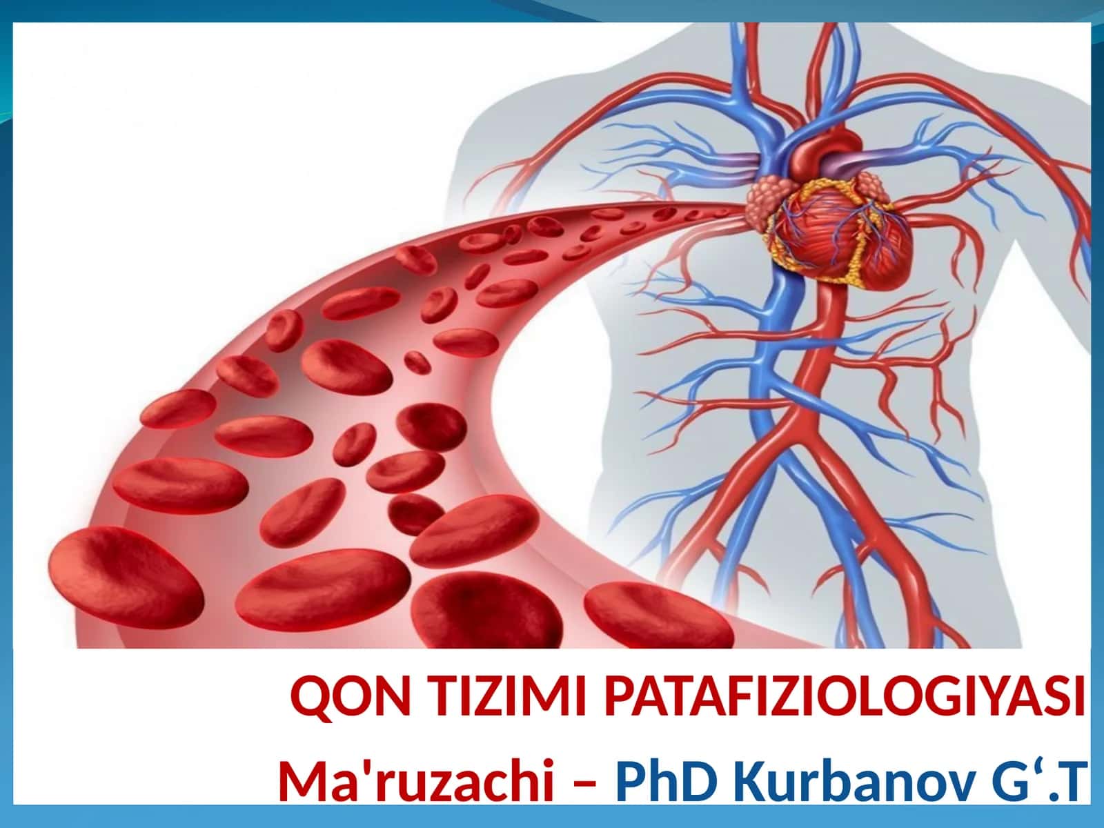 QON TIZIMI PATAFIZIOLOGIYASI 1