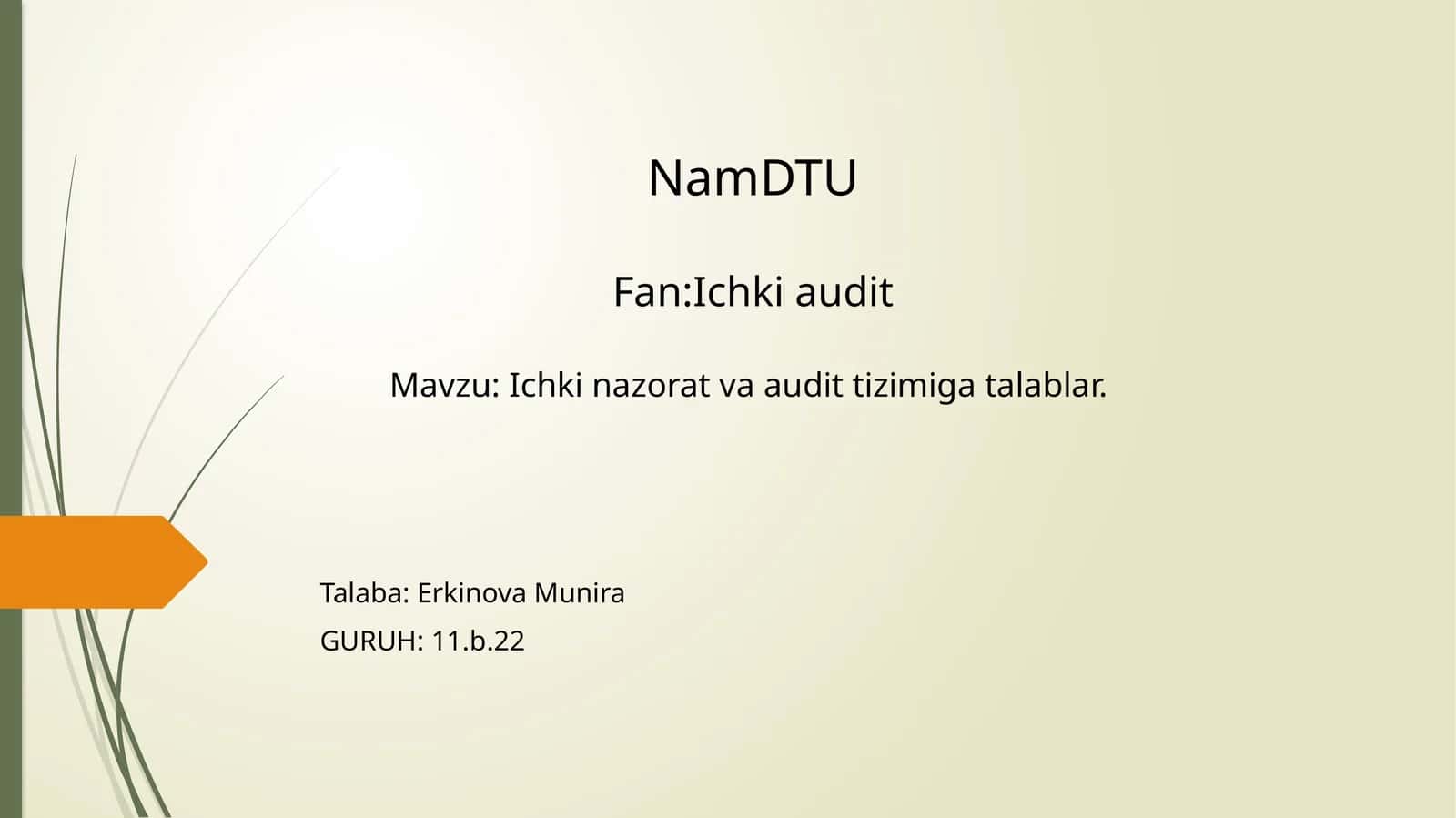 Ichki nazorat 1
