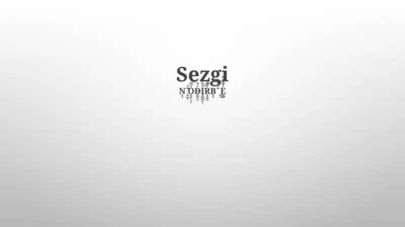 Sezgi 1