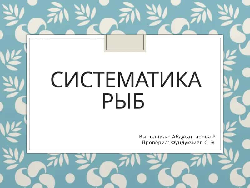 Систематика рыб 1