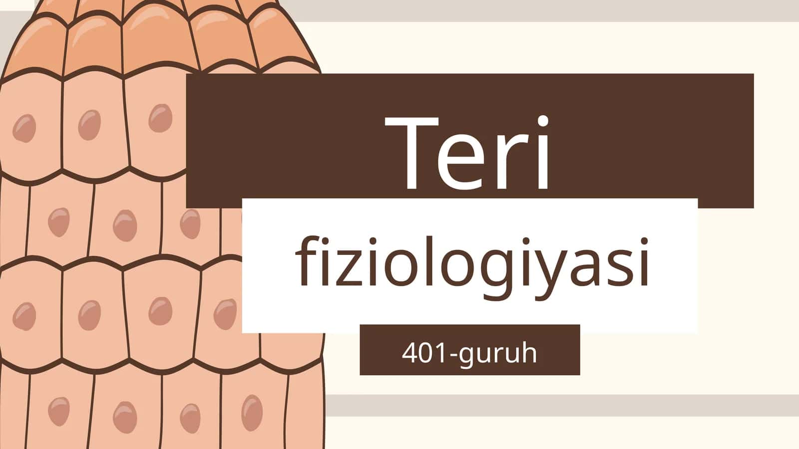 Teri fiziologiyasi 1