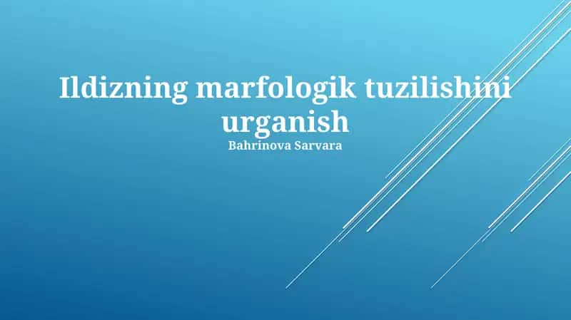 Ildizning marfologik tuzilishini urganish 1