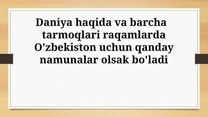 Daniya tajribasi: O'zbekiston uchun raqamli saboqlar 1