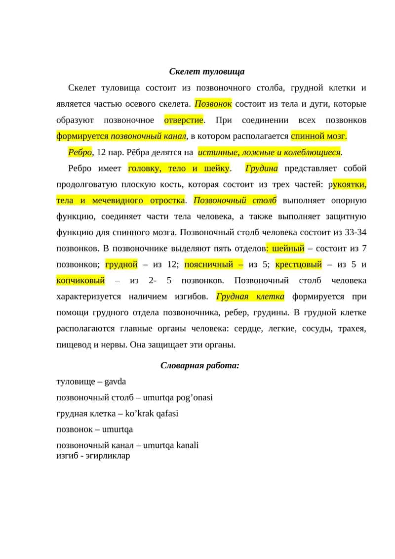 Скелет туловища 1