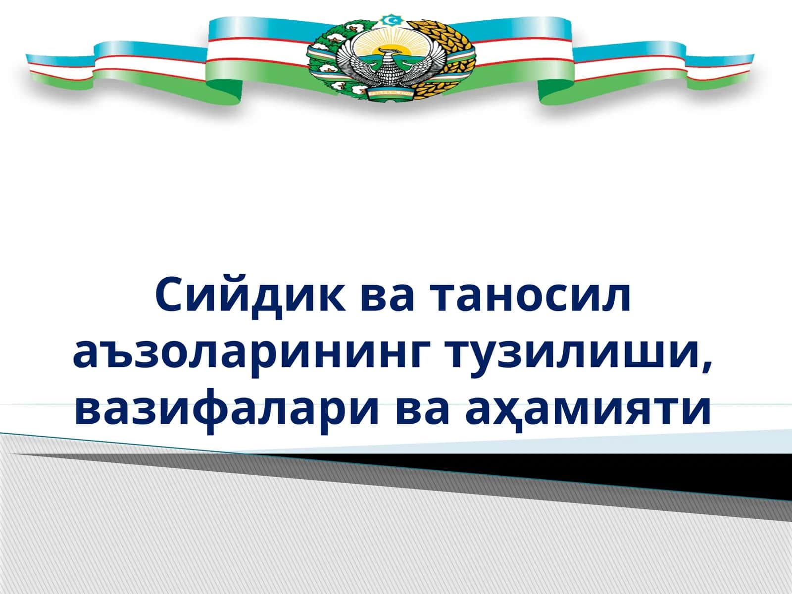 Сийдик ва таносил аъзоларининг тузилиши, вазифалари ва аҳамияти 1
