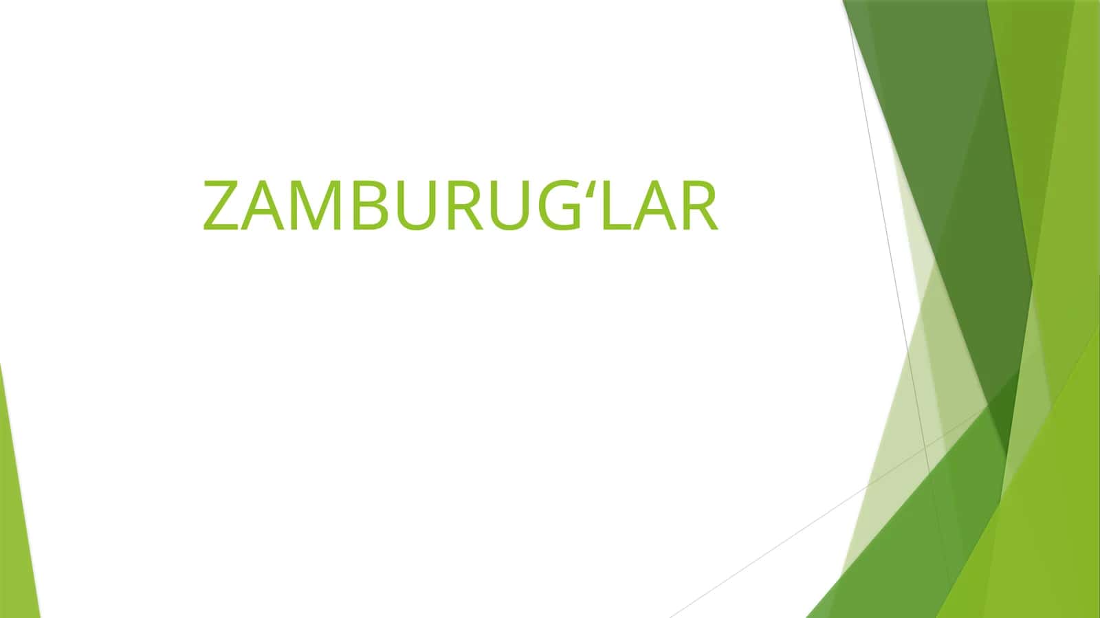 Zamburugʻlar 1