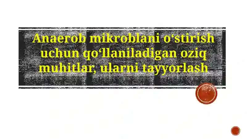 Anaerob ozuqa muhitlari