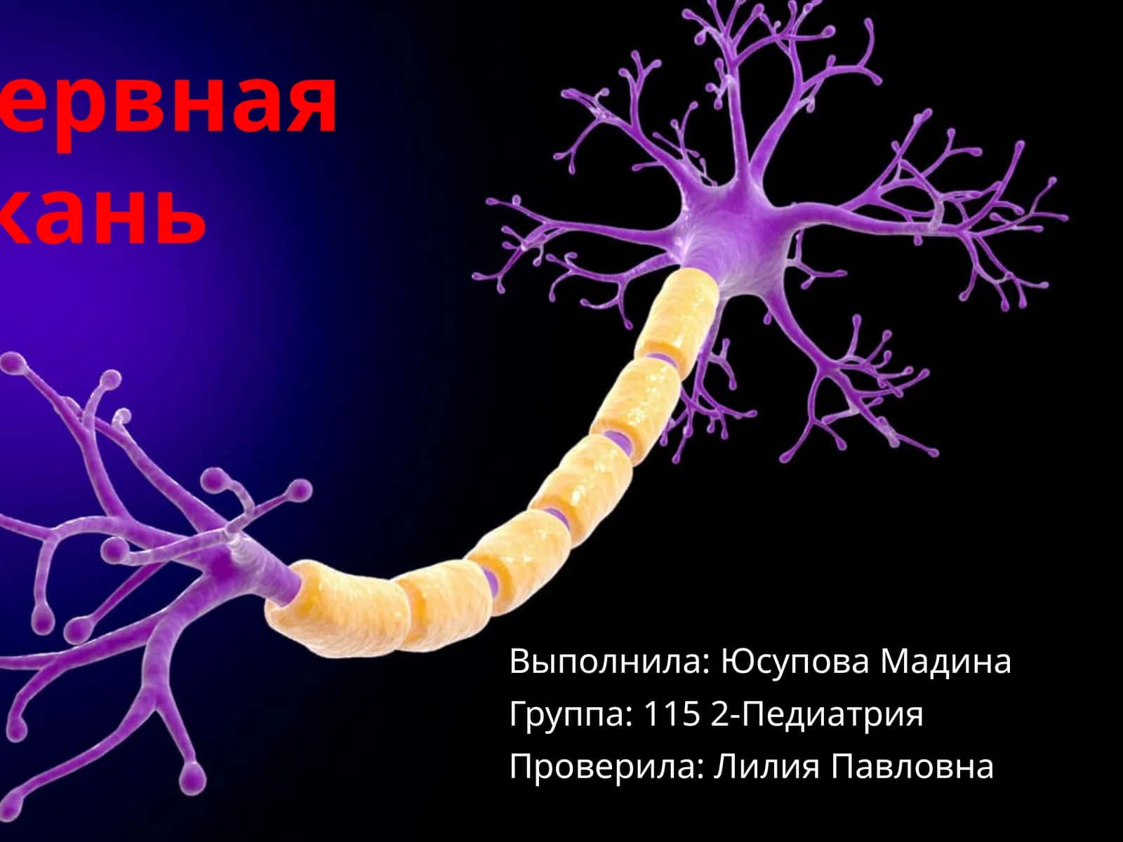 Нервная ткань 1