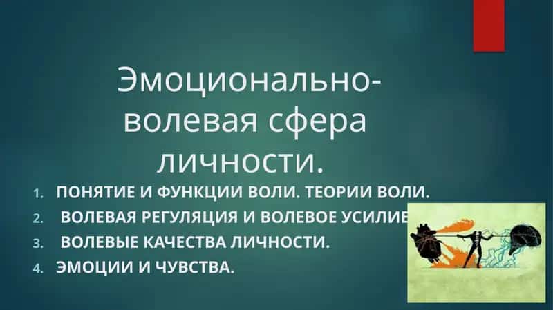 Эмоционально-волевая сфера личности 1
