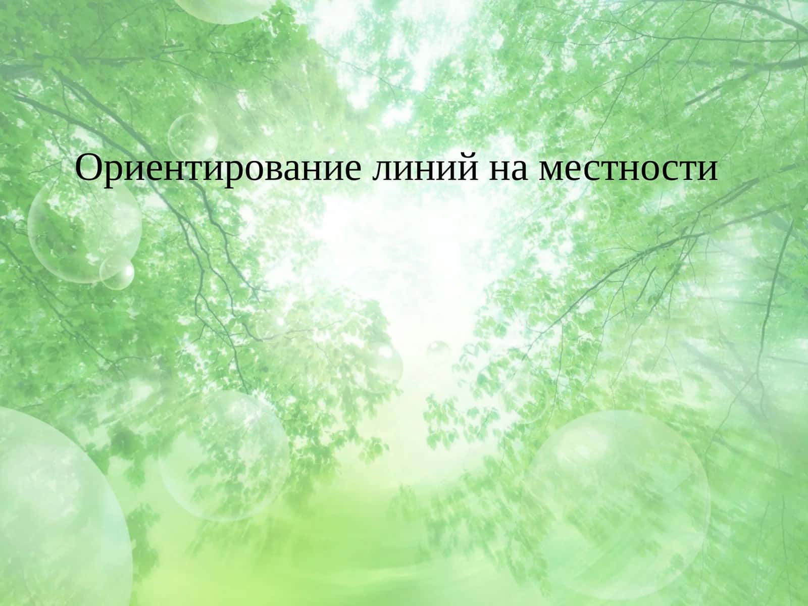 Ориентирование линий на местности 1