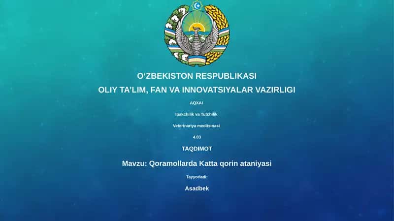 Qoramollarda Katta qorin ataniyasi 1